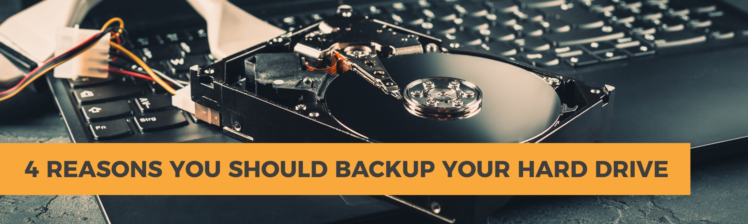 4 Reasons You Should Backup Your Hard Drive